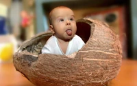 Infant Peeking Out from a Coconut Shell