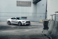 Элегантный серебристый Ford Mustang припаркован в городской обстановке, демонстрируя стильные легкосплавные диски и мускулистый дизайн.