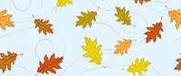 Feuilles d'automne : Une tapisserie colorée d'érable et de chêne