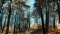 forest, tree, nature, woodland, painting wallpaper