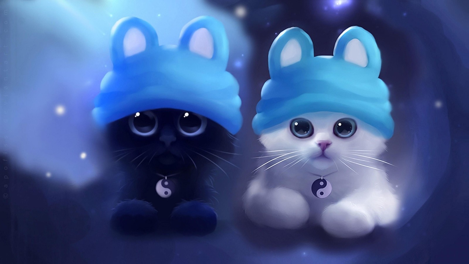 cuteness, cat, whiskers, blue, felidae wallpaper