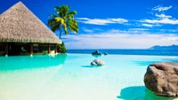 Paradis tropical avec une piscine lagon sereine, des palmiers et une vue imprenable sur la mer.