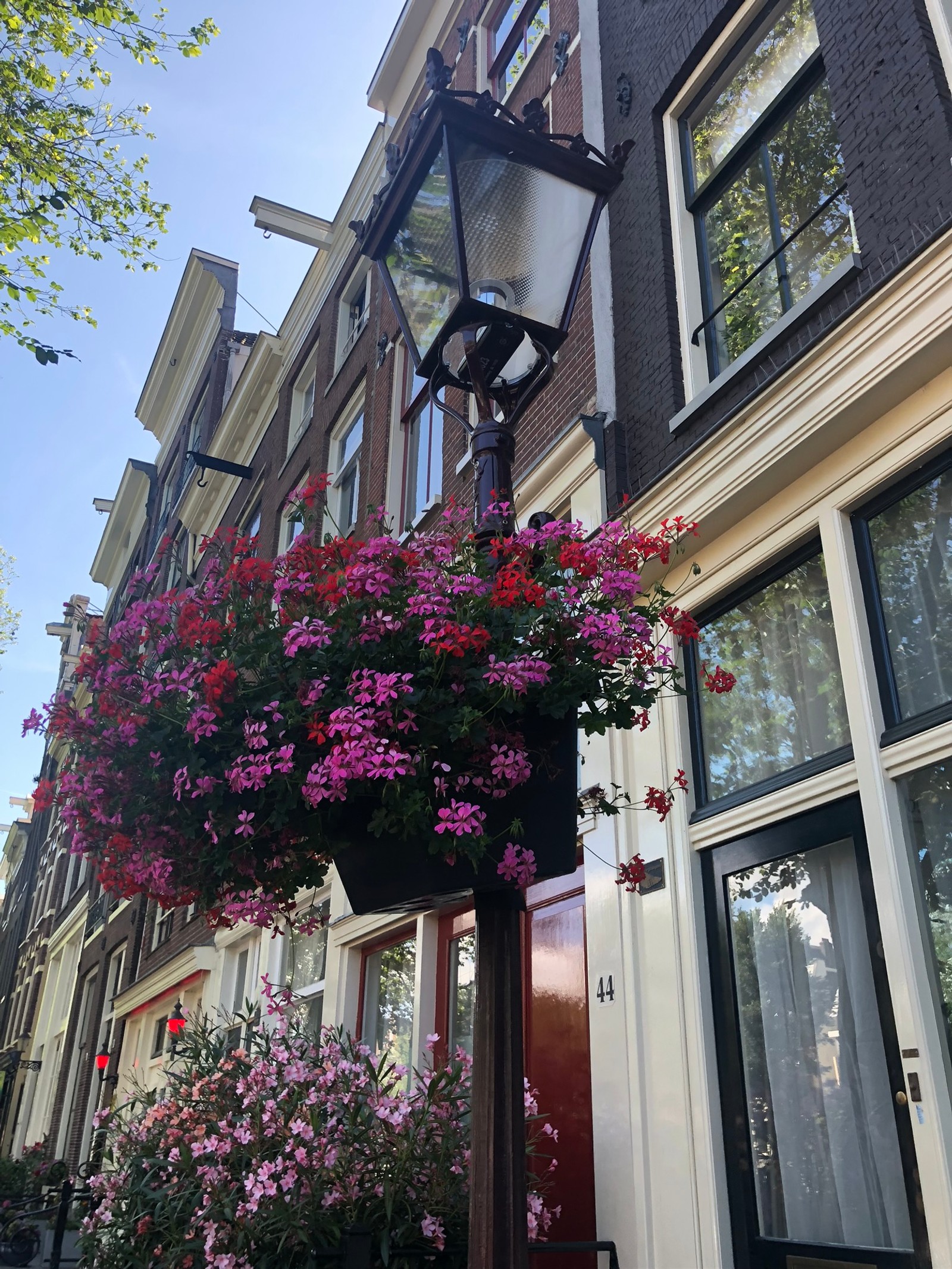 There is a lamp post with flowers hanging from it in front of a building (flower, magenta, purple, building, facade)