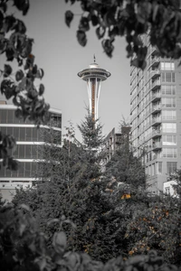 Der Space Needle Turm in Seattle zwischen städtischen Bäumen im Winter