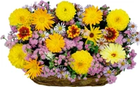 Arrangement floral vibrant dans un panier avec des fleurs jaunes et roses