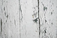 A close-up of weathered, peeling white wood, revealing a textured surface with cracks and imperfections.