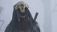 Predator's Grim Face in 'Prey' (2022) on Hulu