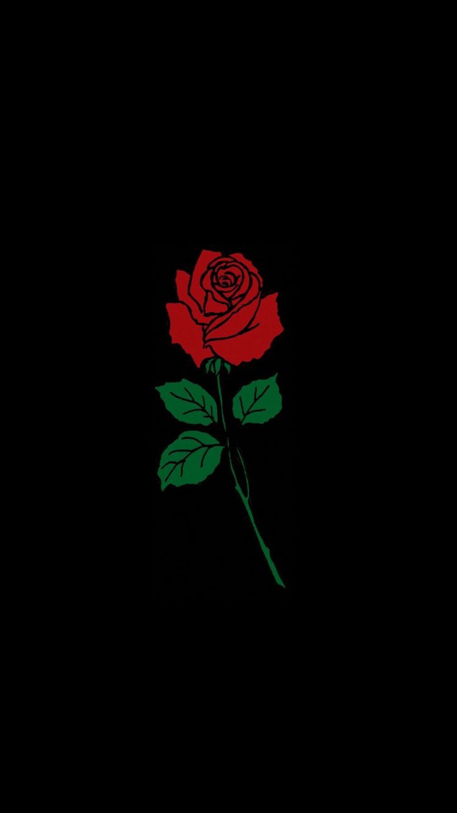 Un primer plano de una rosa sobre un fondo negro con un tallo verde (rosa, temas)