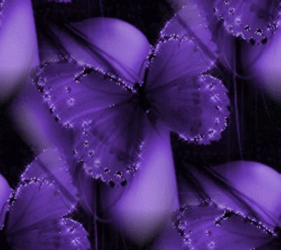 Purple Butterflies Against a Dark Background Wallpaper