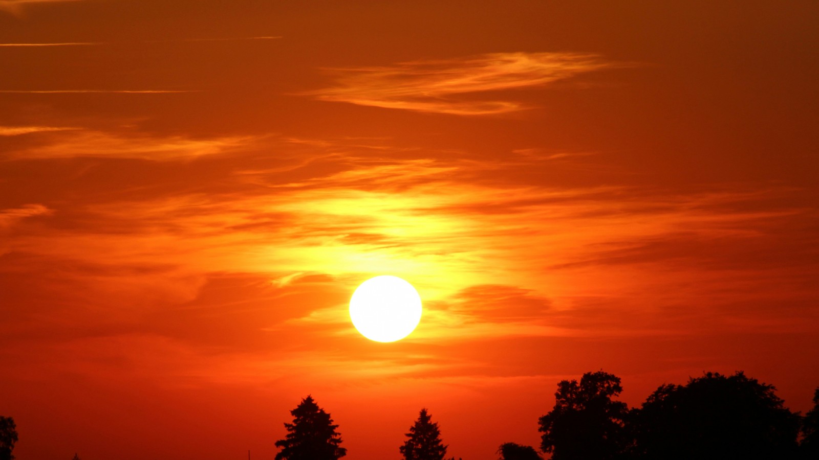 Une vue d'un coucher de soleil avec quelques arbres au premier plan (coucher de soleil, crépuscule, soleil, lever de soleil, atmosphère terrestre)