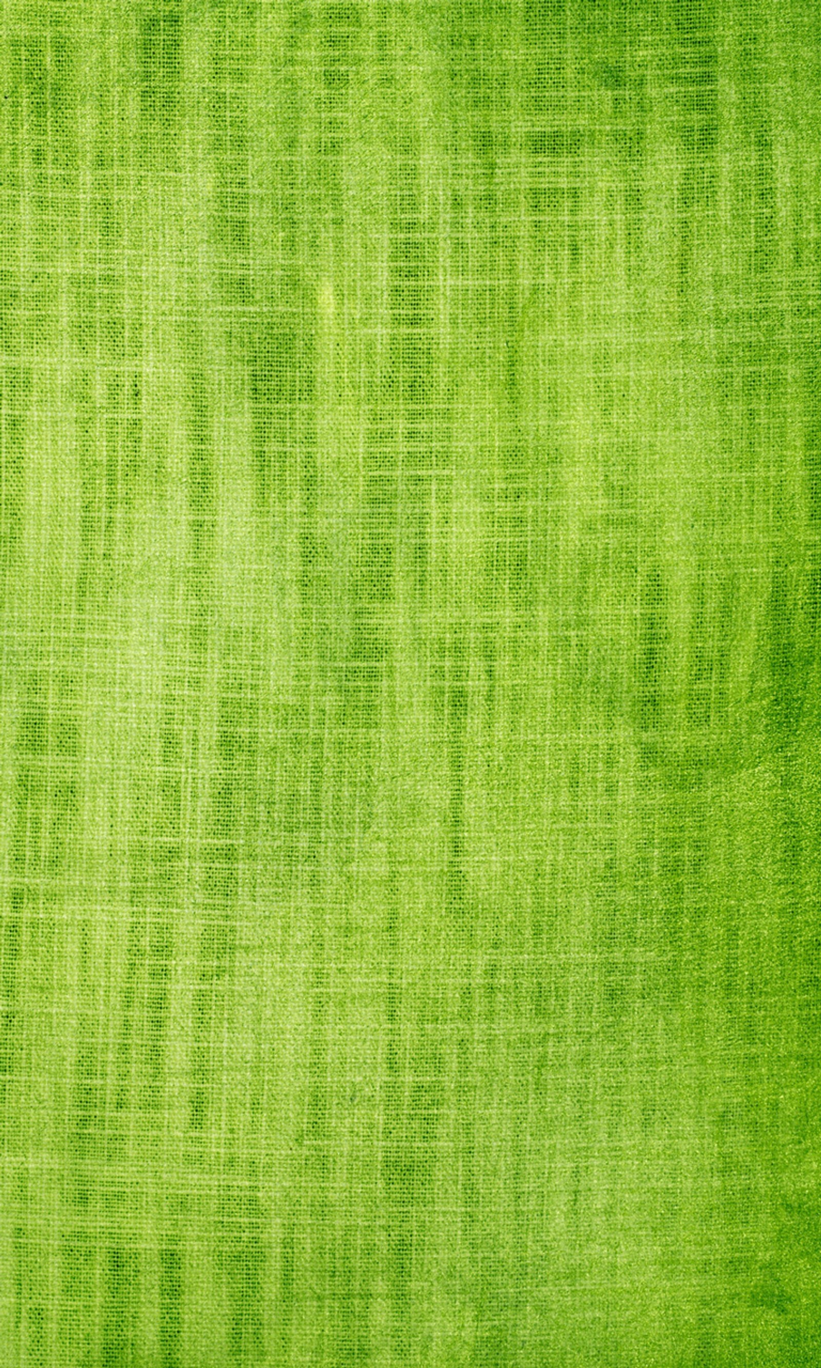 Un primer plano de un fondo verde con una textura muy áspera (abstracto, verde)