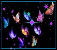 Colorful butterflies soaring through a starry night sky.