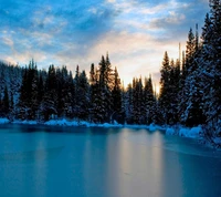 Sérénité gelée au crépuscule : un paysage d'hiver tranquille avec des arbres couverts de neige et un lac calme reflétant le ciel.