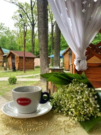 Momento de café encantador rodeado de naturaleza