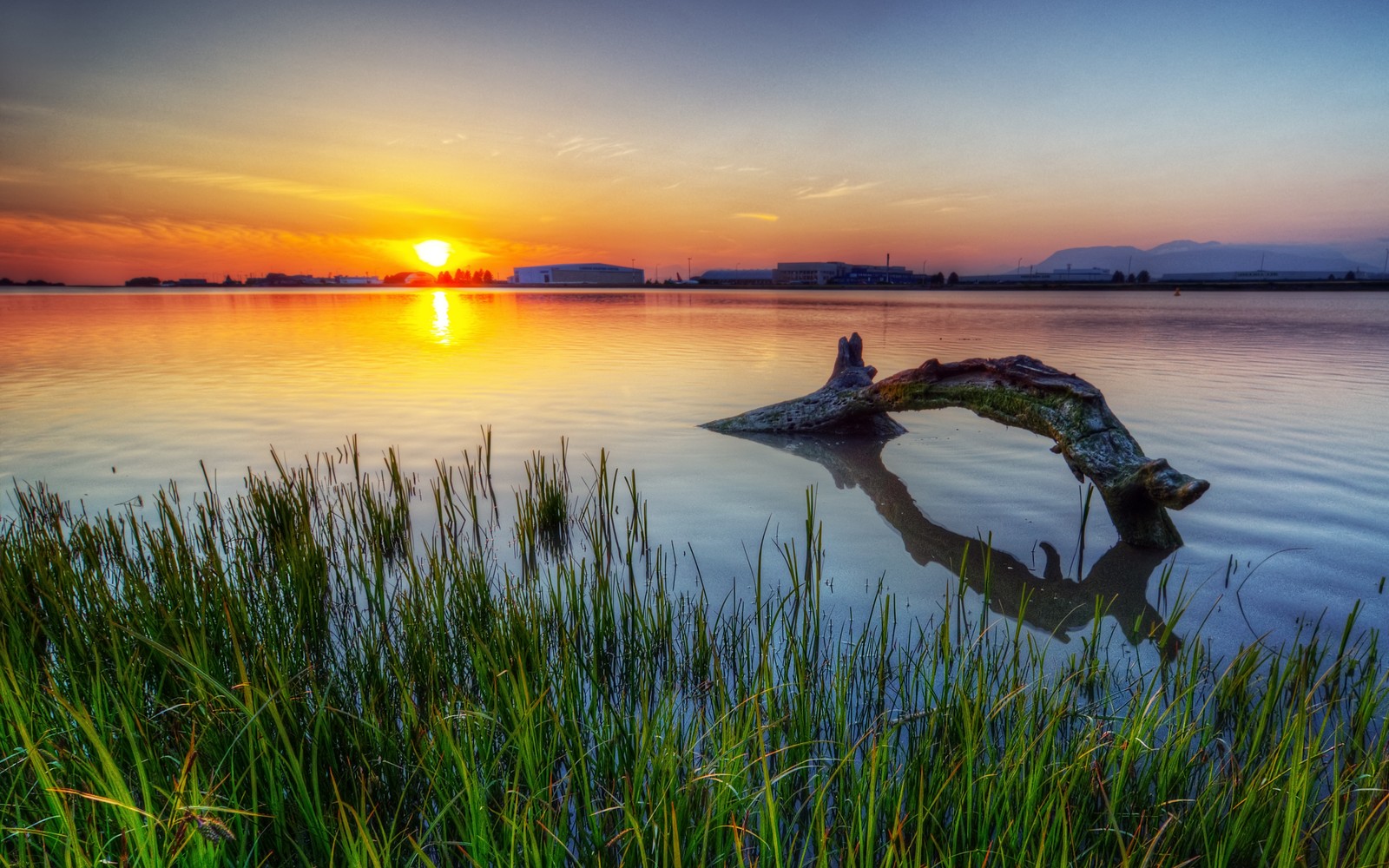 Nahaufnahme eines baumzweigs im wasser bei sonnenuntergang (loch ness, wasser, reflexion, morgen, see)