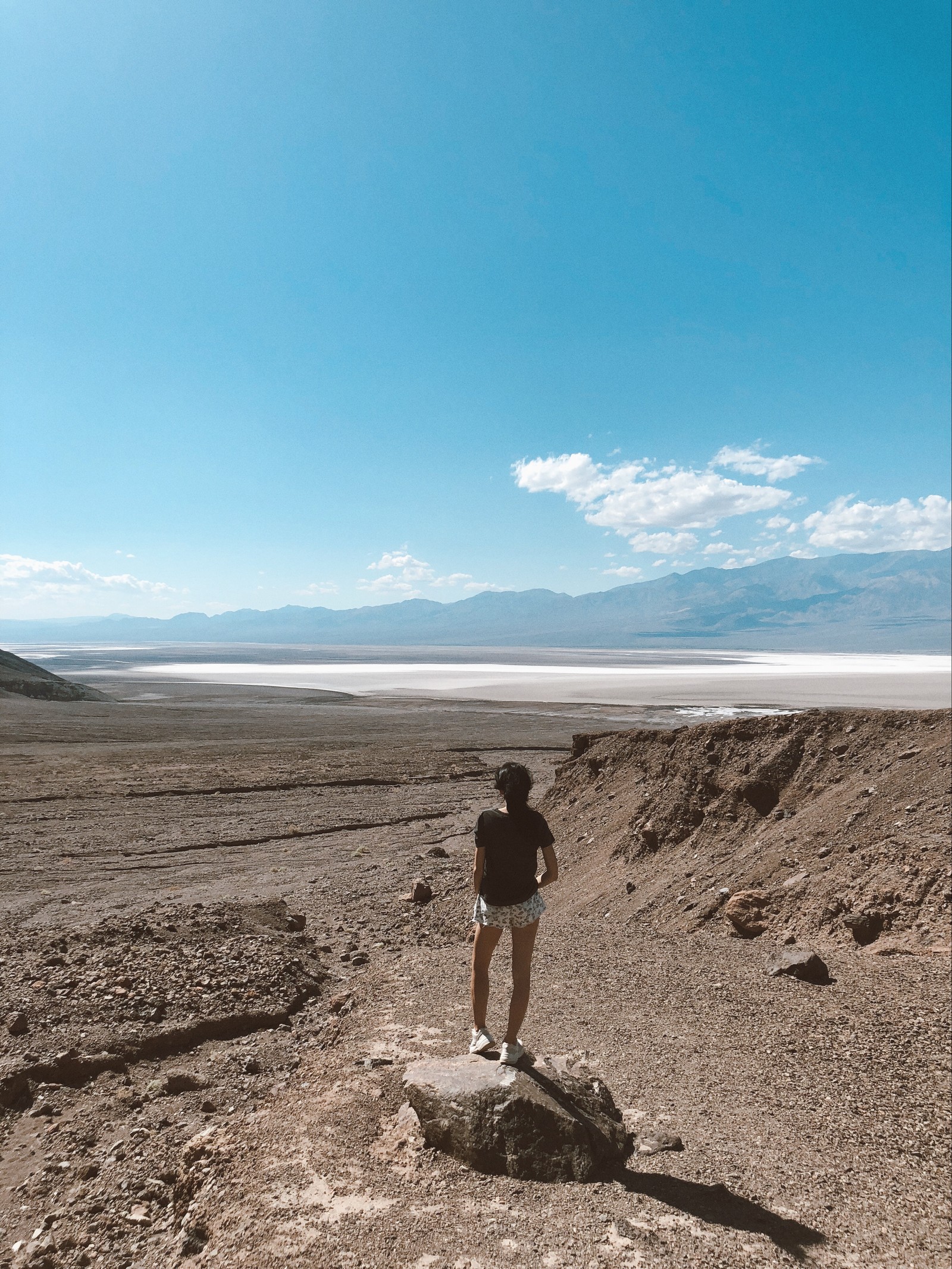 Jirafa de pie sobre una roca en medio del desierto (postres, suelo, arena, badlands, forma de relieve eólica)