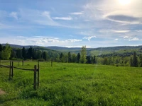 brücke, naturumgebung, pflanze, weide, natürliche landschaft