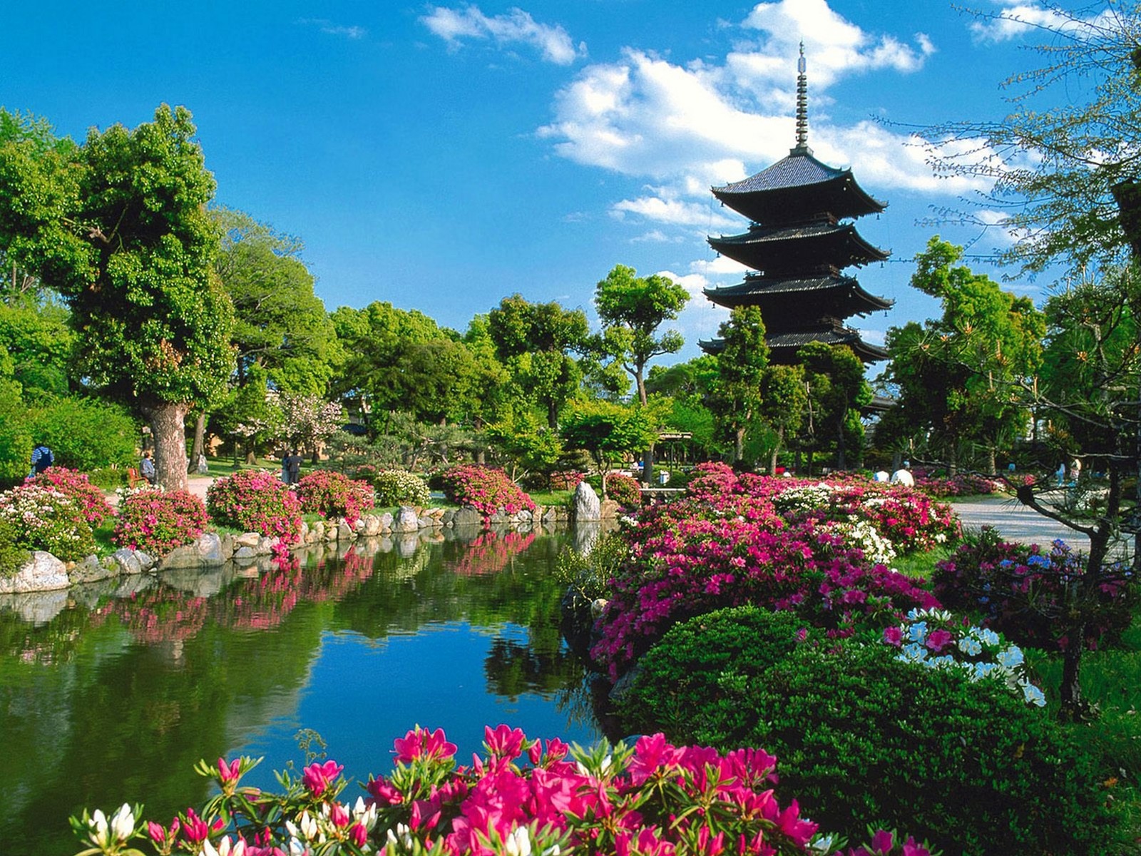 Una vista de un estanque con flores y una pagoda de fondo (jardín, naturaleza, jardín botánico, planta, dubái)