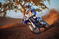 A motocross rider performing a stunt on a Yamaha dirt bike, kicking up soil in a dynamic racing scene.