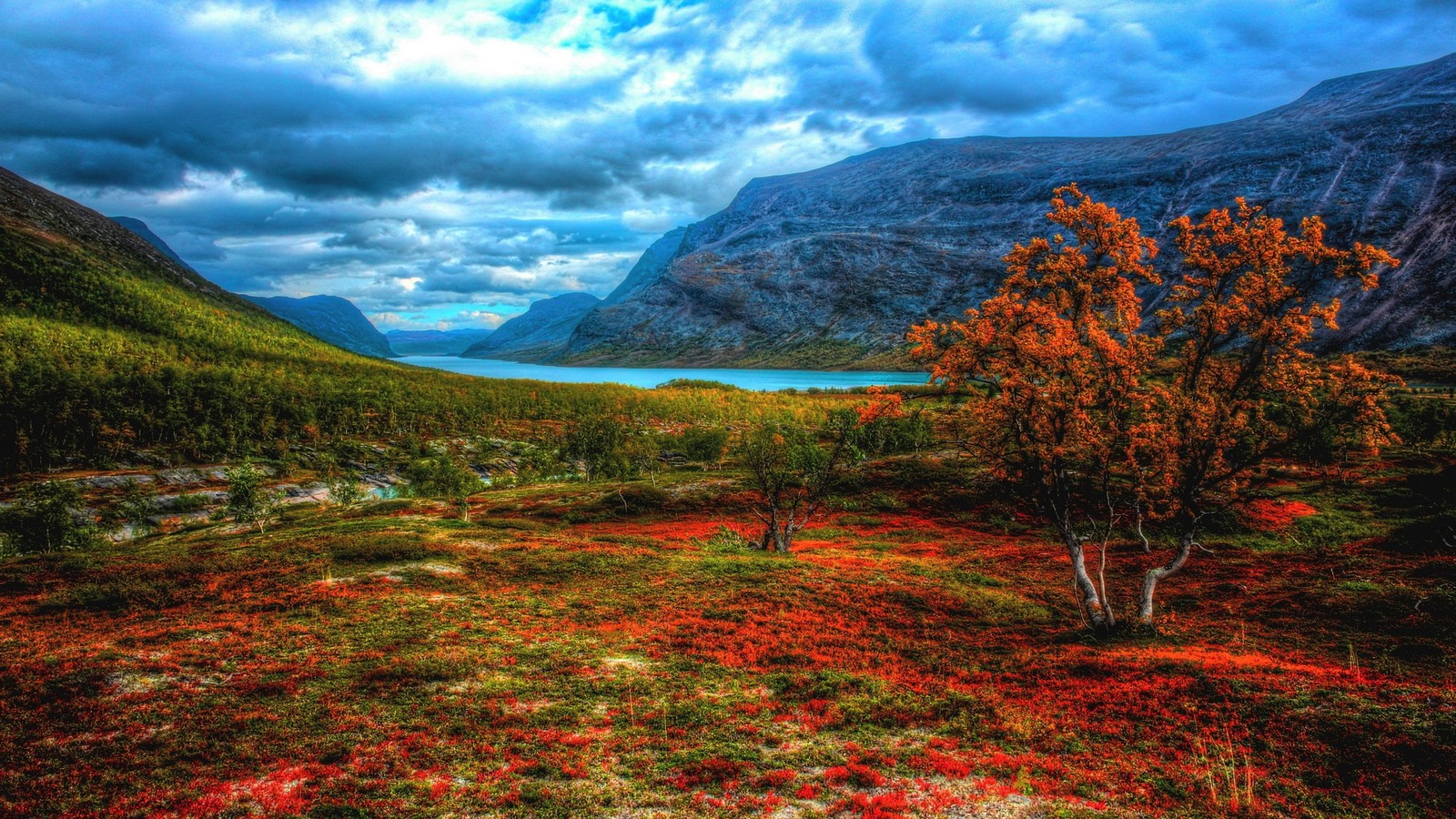 nature, nature reserve, tundra, highland, vegetation wallpaper