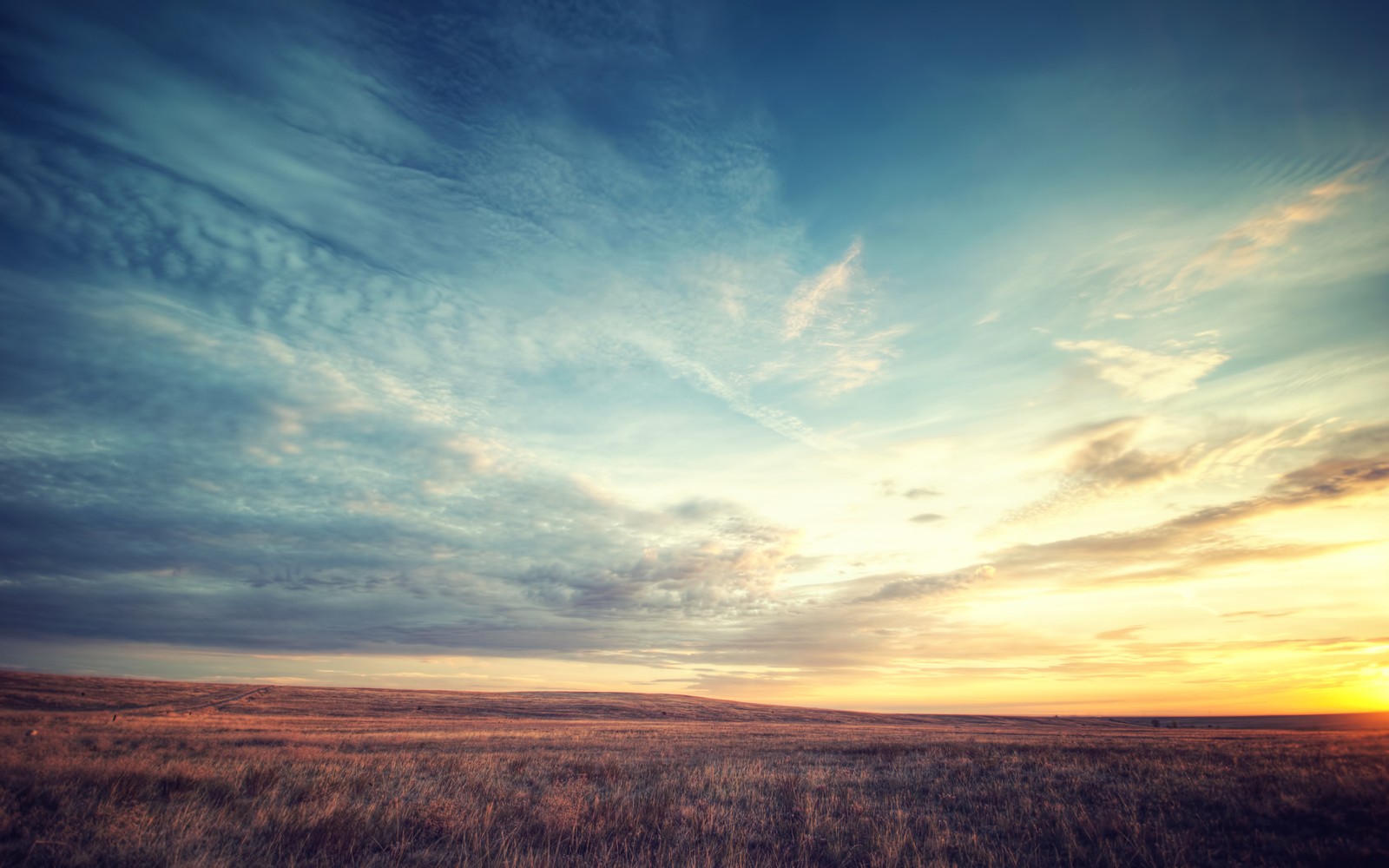 Une vue d'un champ avec un ciel et des nuages en arrière-plan (prairie, paysage, horizon, champs, coucher de soleil)