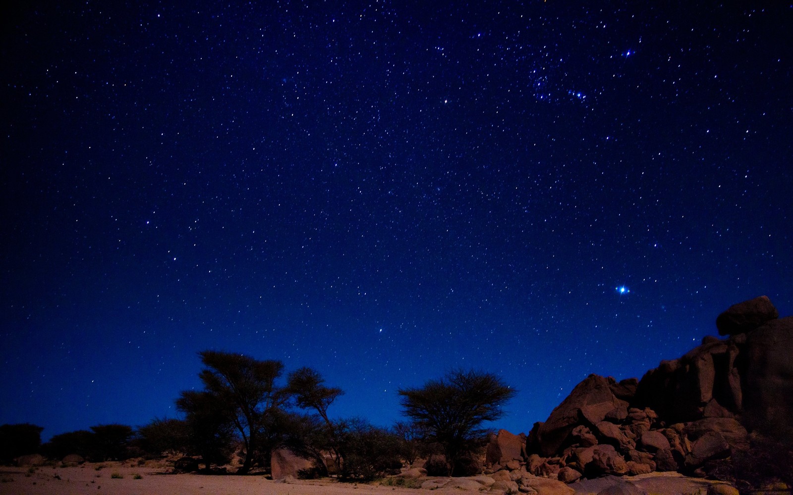 Uma vista do céu noturno com estrelas acima de uma área rochosa (deserto argelino, deserto, estrela, céu noturno, noite)