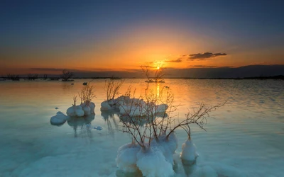 Atardecer tranquilo sobre un paisaje acuático sereno