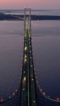 pont, nature, au dessus