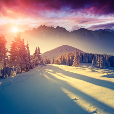 Sonnige Winterlandschaft mit schneebedeckten Bergen und Wald