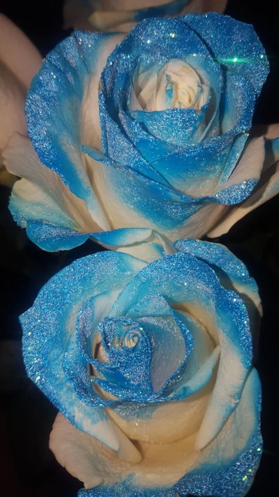 azul, dont, brilho, glitter rose blue, senha