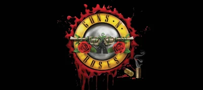 не в этой жизни тур, not in this lifetime tour, guns n roses, концерт, графический дизайн