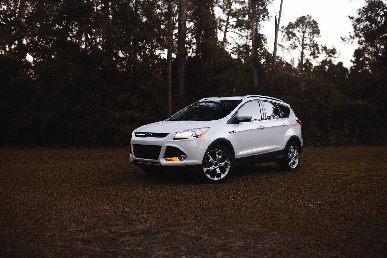 Um suv branco estacionado em um campo com árvores ao fundo (ford motor company, ford, carro, golpe, carro esportivo)