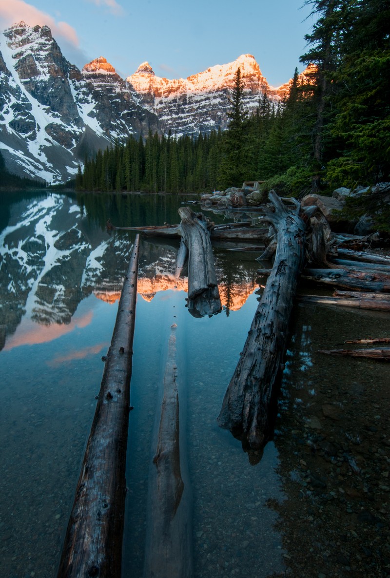 Бревно лежит на берегу озера (национальный парк банфф, banff national park, озеро морейн, озеро боу, bow lake)