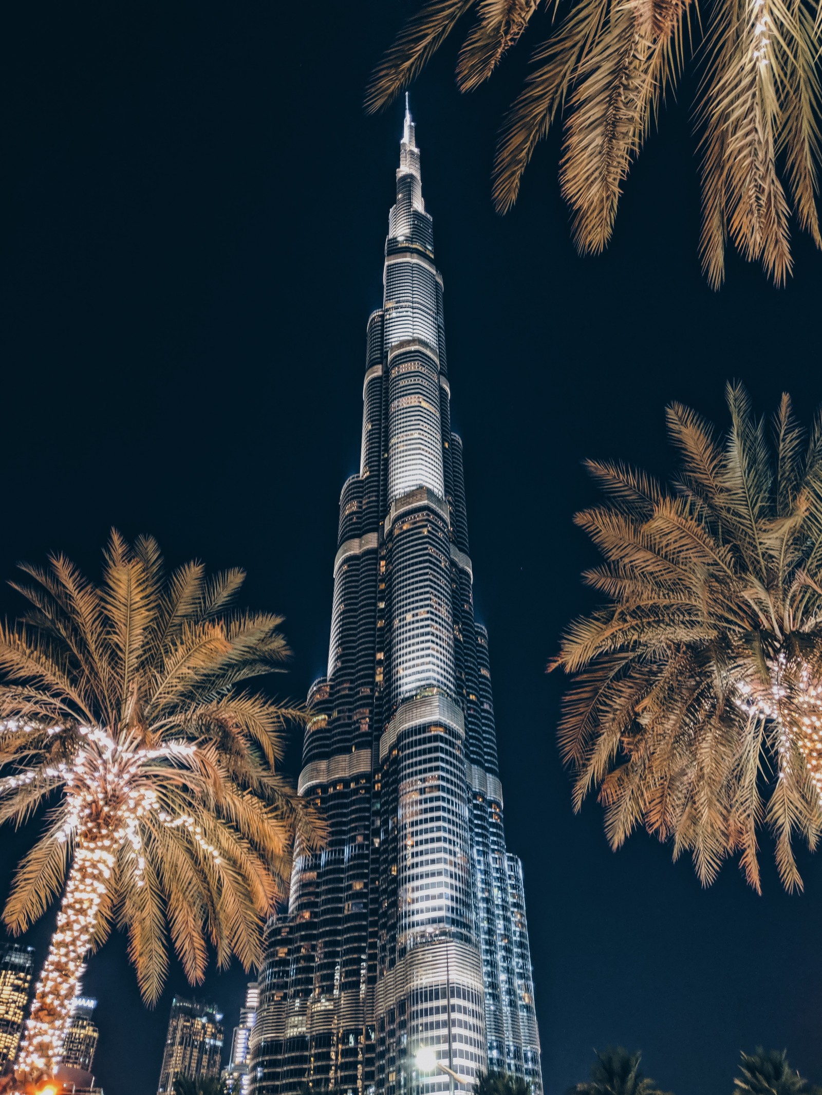 skyscraper, tower, landmark, tree, palm tree wallpaper