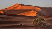 Pôr do sol sobre o Erg: Uma paisagem de dunas serena