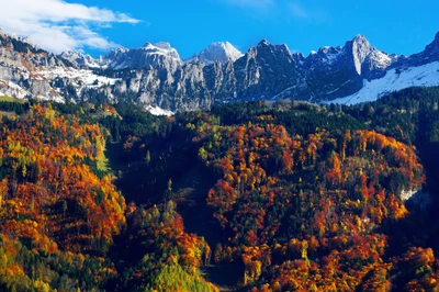 Feuillage d'automne vibrant contre des montagnes enneigées et un ciel bleu clair