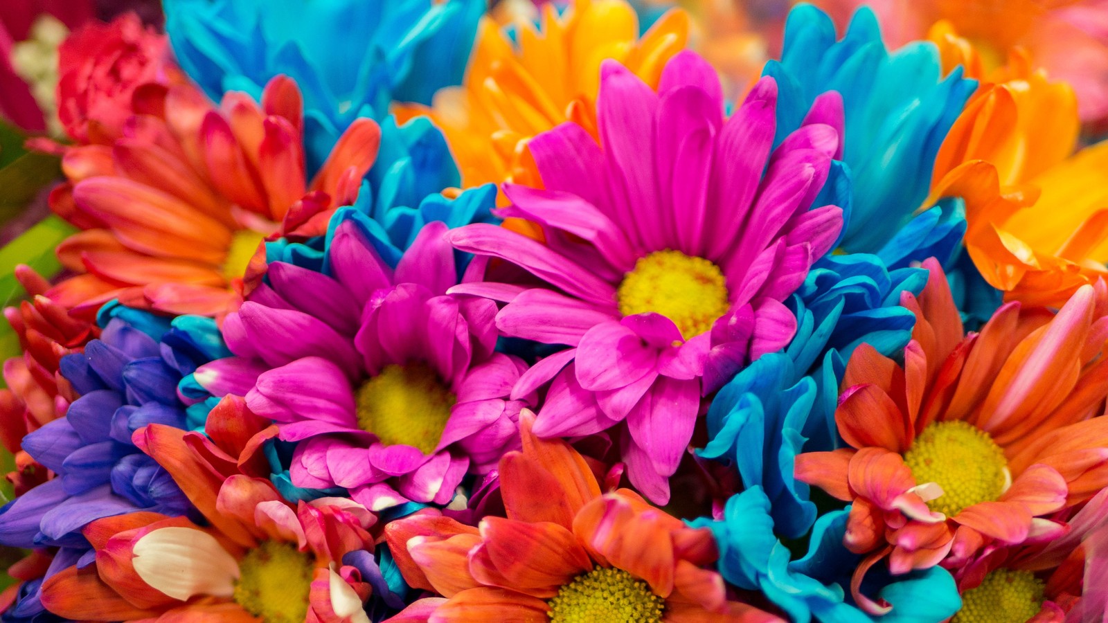 Des fleurs colorées sont disposées dans un vase sur une table (fleurs de dahlias, coloré, floraison, rose, orange)