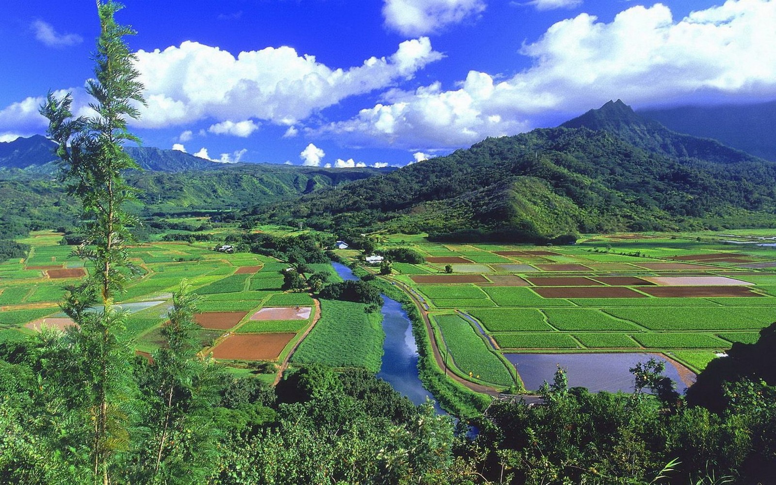 Uma vista de um vale com um rio passando por ele (hanalei, terras altas, estação de montanha, campo de arroz, terraço)