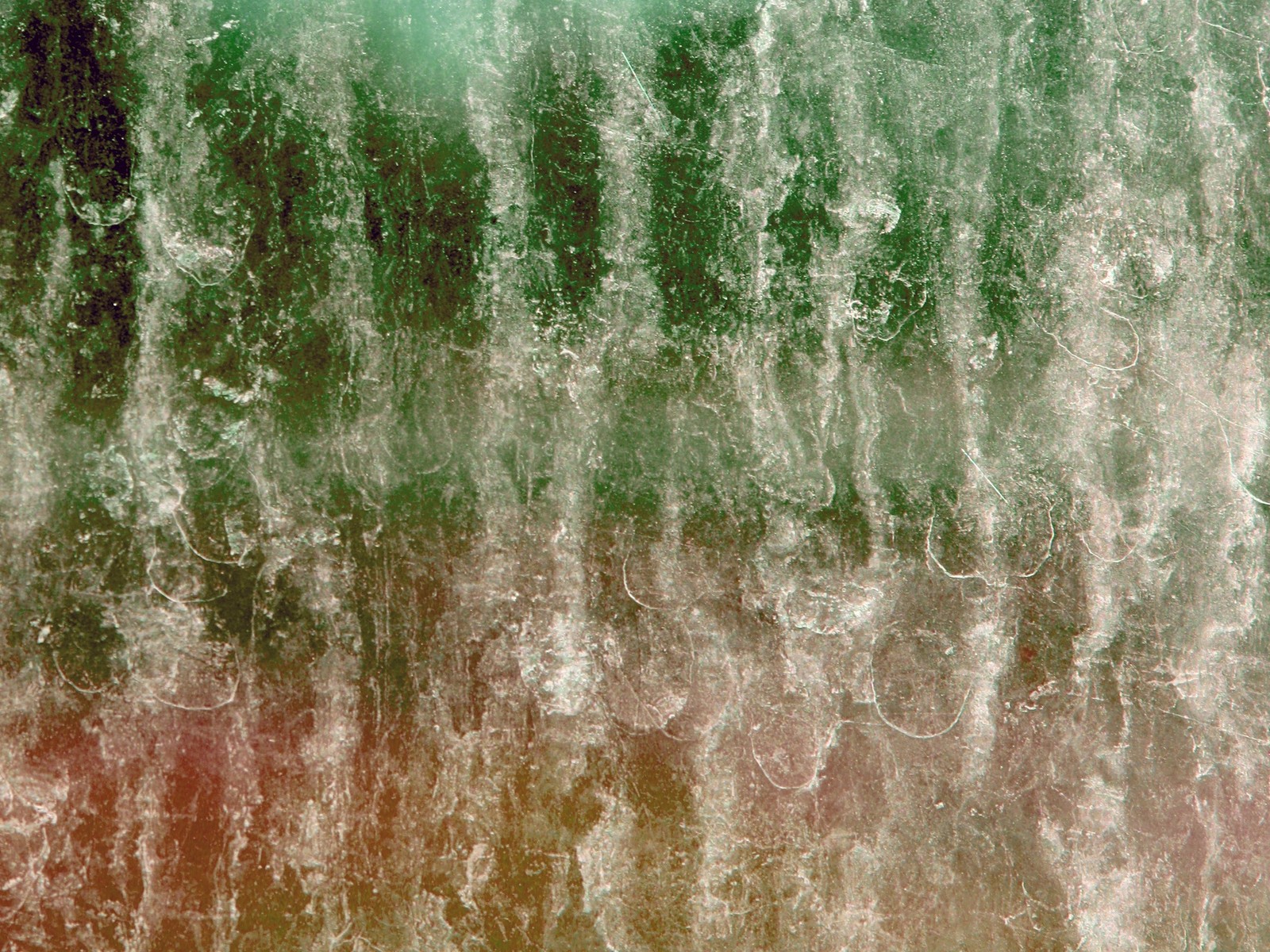 Descargar fondo de pantalla ventana, textura, verde, agua, pasto