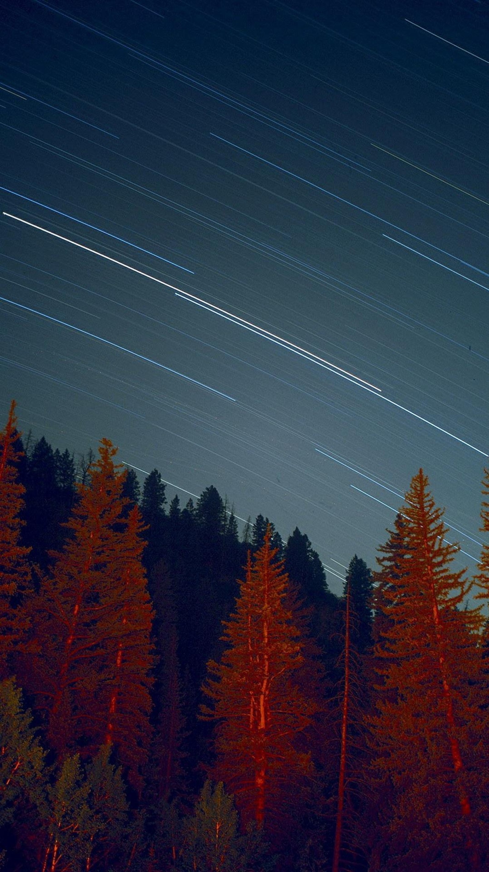 Vista árabe de un bosque con una estela de estrellas en el cielo (pintura de paisajes, atmósfera, naturaleza, azul celeste, paisaje natural)