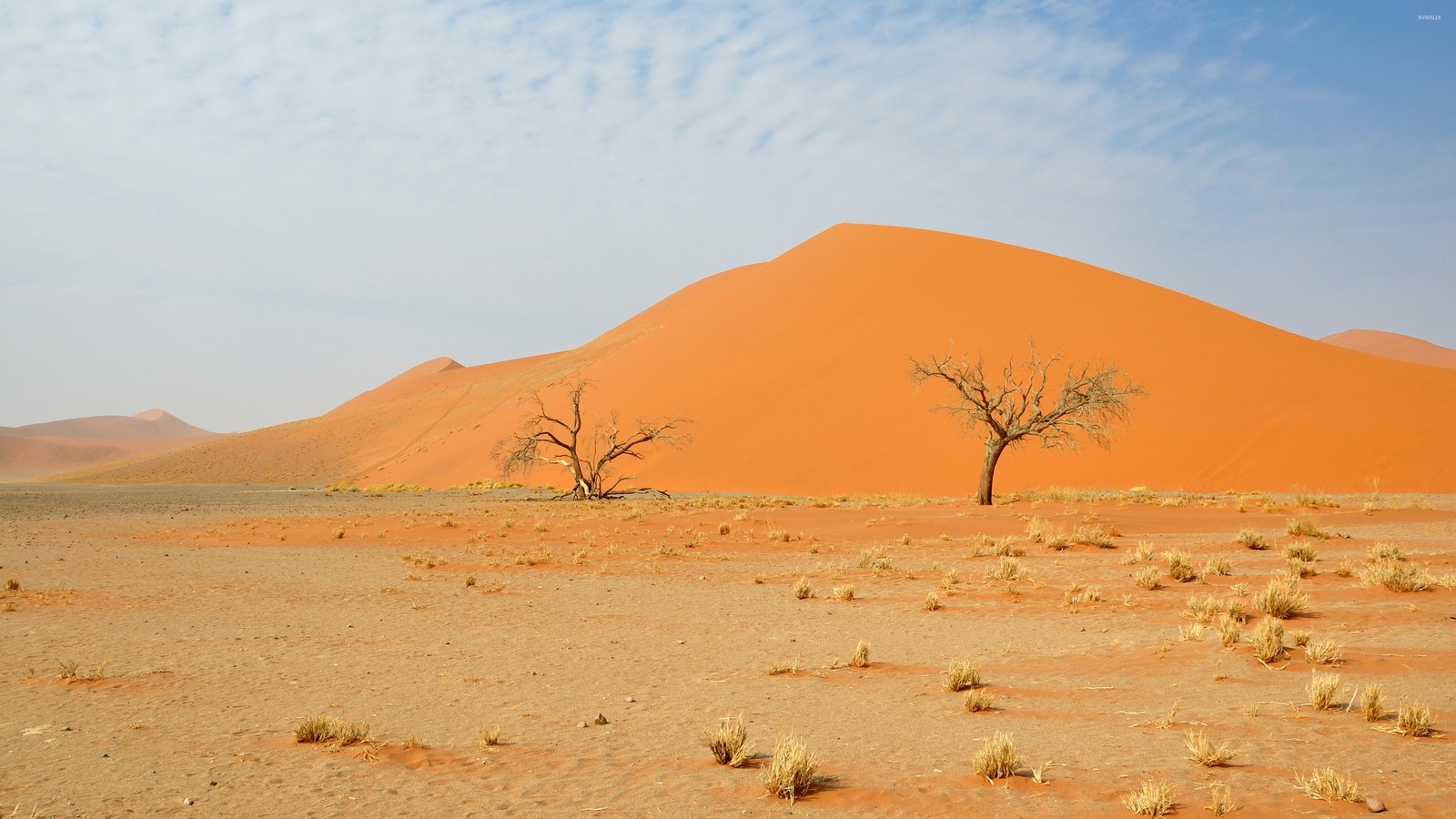 erg, singing sand, desert, dune, sand wallpaper