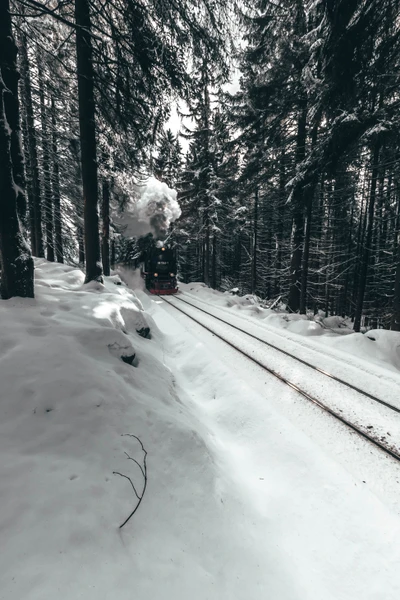 Viaje en tren a través de un bosque invernal nevado