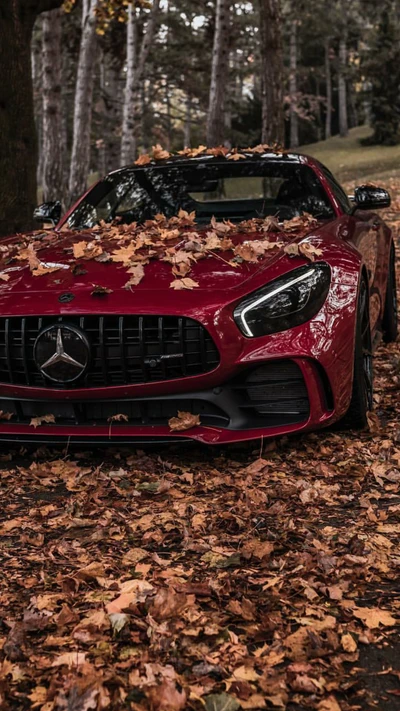 Mercedes-Benz AMG GT adornado con hojas de otoño