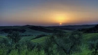 nature, vert, paysage naturel, colline, matin