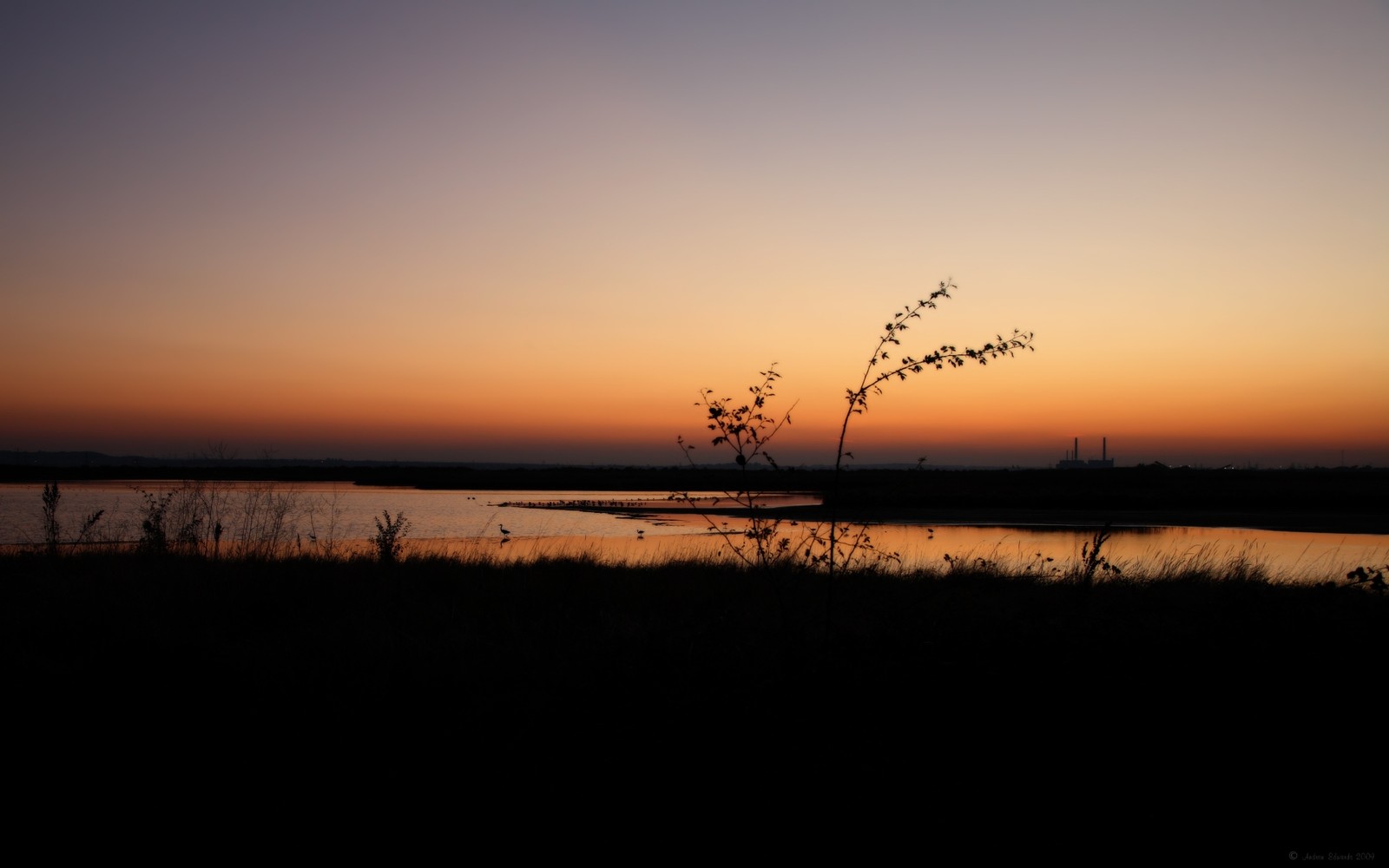 Vue d'un lac au coucher du soleil avec quelques arbres (horizon, coucher de soleil, lever de soleil, soir, crépuscule)