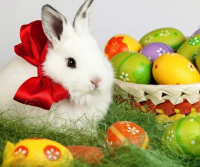 Lapin de Pâques avec des œufs colorés dans l'herbe printanière