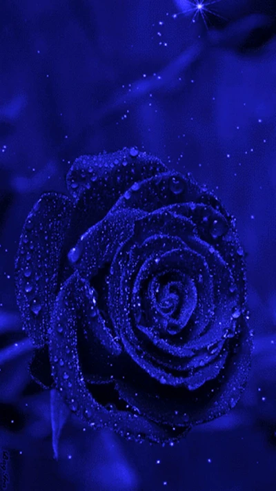 blau, rose