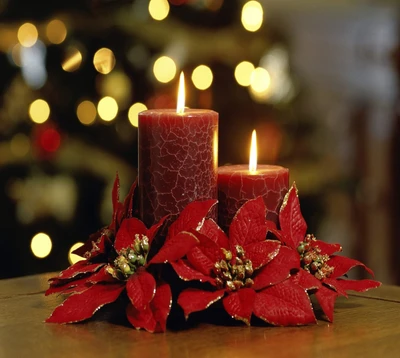 Elegantes velas de Navidad rodeadas de poinsettias