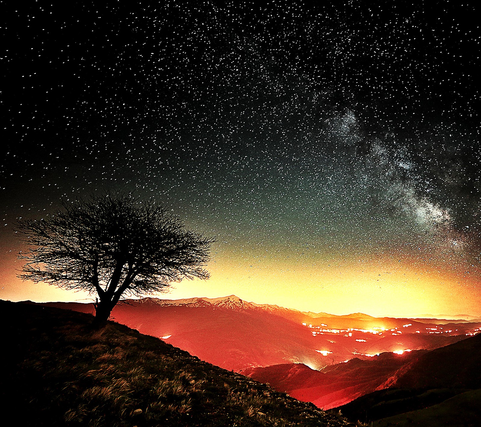 Céu estrelado à noite com uma árvore solitária em uma colina (céu, estrelado)