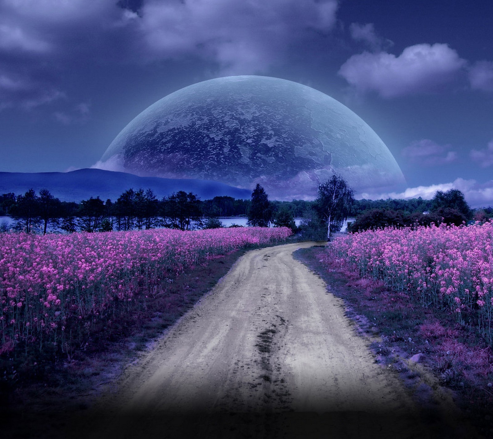 Ein schotterweg, der zu einem feld mit blumen führt, mit einem planeten im hintergrund (feld, blumen, wald, luna, mond)